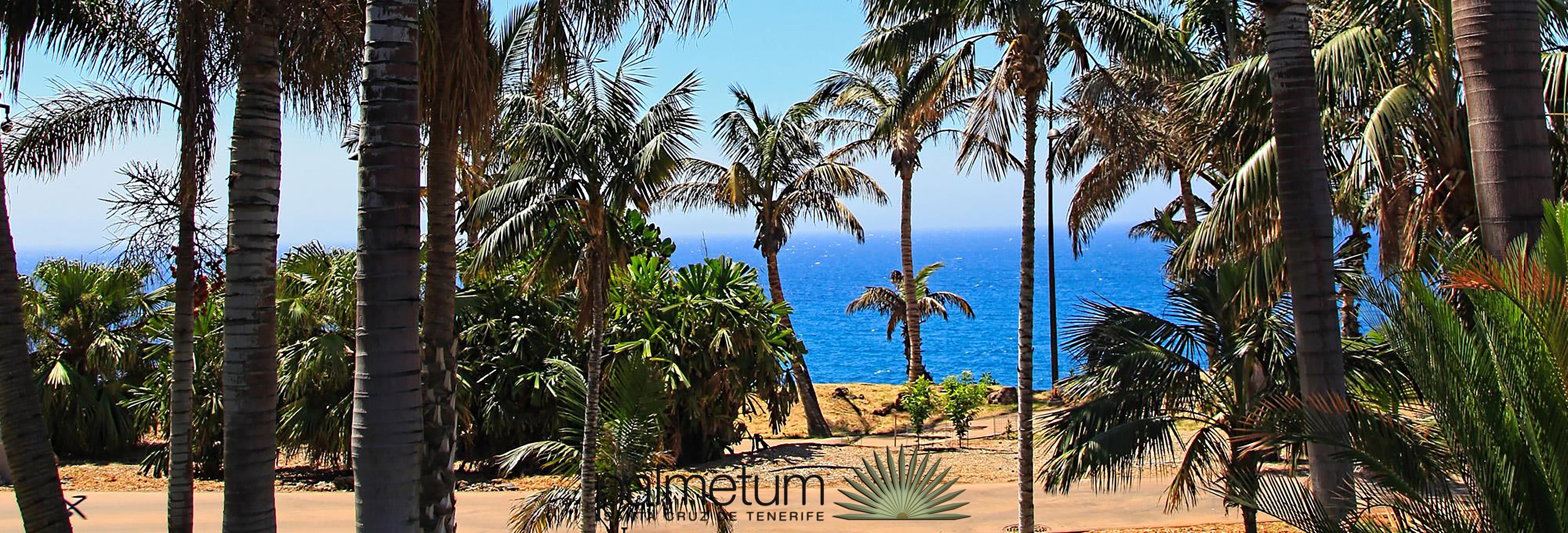 Hotel Adonis Plaza Santa Cruz de Tenerife Exterior photo